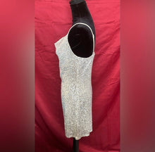 Load image into Gallery viewer, Silver Sequin Women's Dress
